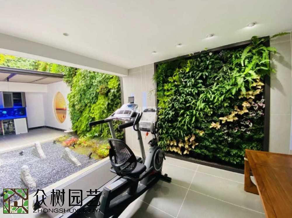 蘇州綠植租賃新風(fēng)尚：打造辦公室綠色生態(tài)，讓工作更舒心！