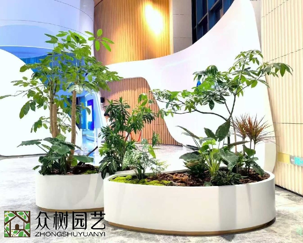 蘇州植物租賃與養護服務完全指南