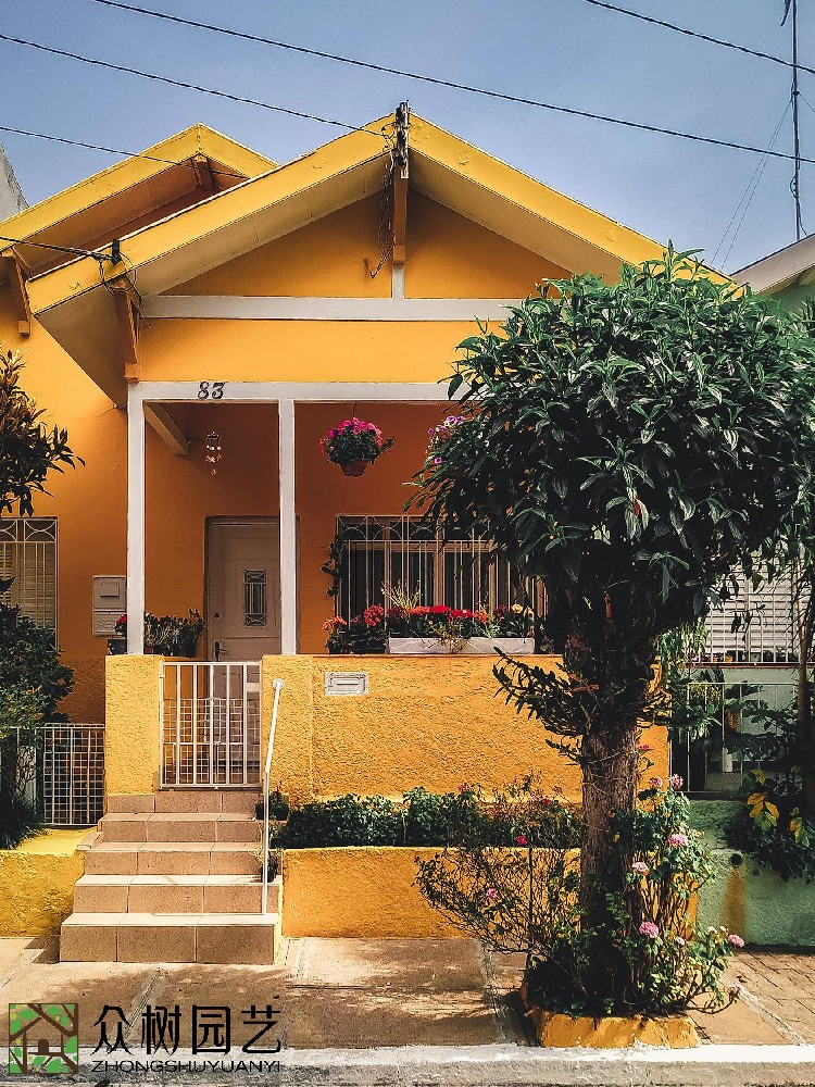 蘇州綠植花卉租擺公司：塑造綠色辦公環境，引領生態時尚的租擺新潮流