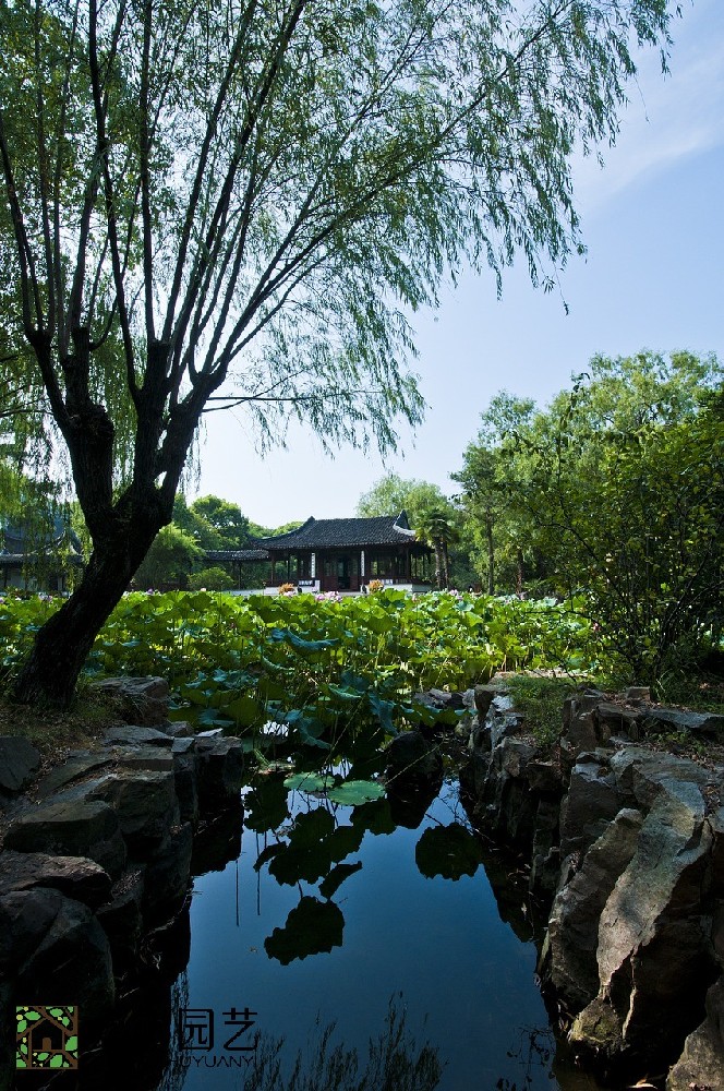 蘇州圖書館綠植租擺價錢解讀：打造生態舒適閱讀空間的秘密武器