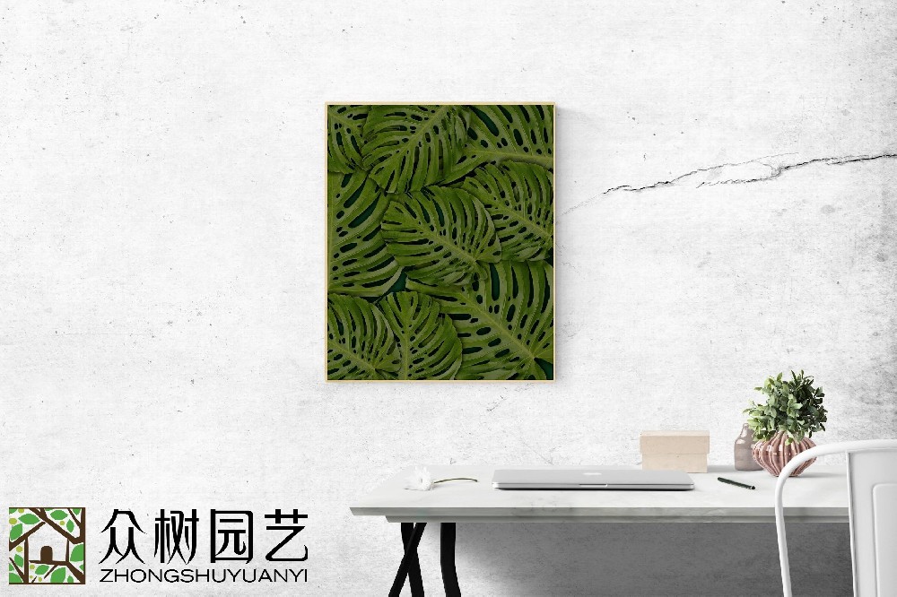 蘇州綠植租擺哪家好？揭秘城市綠林的優選選擇