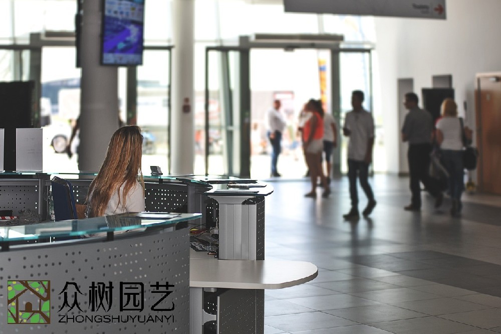 蘇州學(xué)校綠植租擺企業(yè): 貫穿環(huán)保、健康與美學(xué)的教育新理念