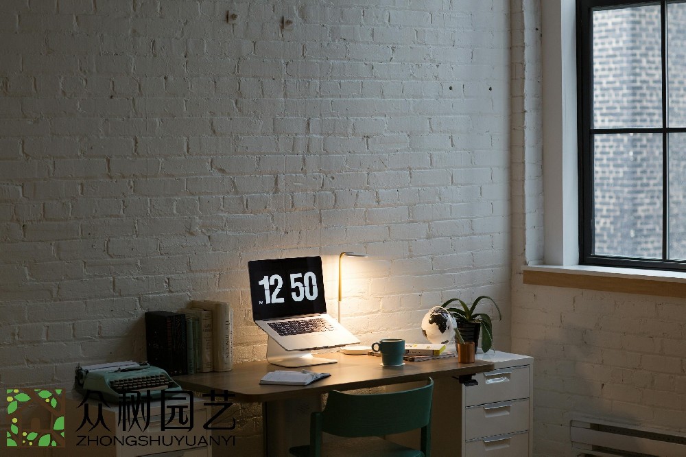 蘇州室內(nèi)綠植租擺費(fèi)用揭秘：預(yù)算、選擇和維護(hù)，一次性了解!